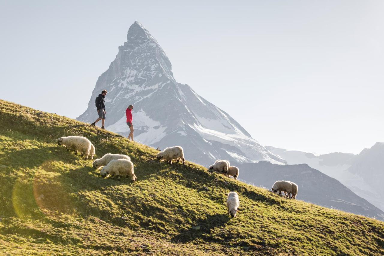 Chalet Zermatt Peak - Your Own Private Luxury Chalet - Includes Professional Staff And Catering - Voted World'S Best Chalet Villa Ngoại thất bức ảnh